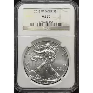 2013 W BURNISHED SILVER EAGLE