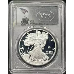 2020-W $1 Silver Eagle - v75 Privy First Strike, DCAM (2)