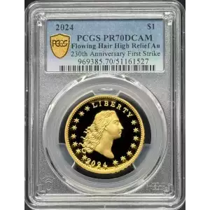 2024 $1 Flowing Hair High Relief Au 230th Anniversary First Strike, DCAM (3)