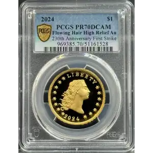 2024 $1 Flowing Hair High Relief Au 230th Anniversary First Strike, DCAM (2)