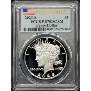 Morgan and Peace Dollar set