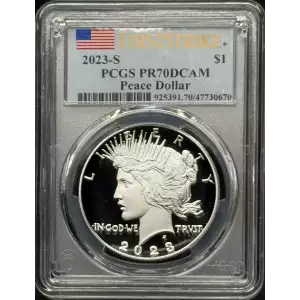 Morgan and Peace Dollar set