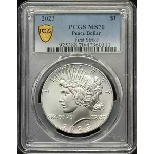 Morgan and Peace Dollar set