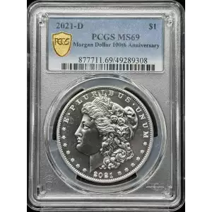 Morgan Silver Dollar (2)