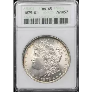 Morgan Silver Dollar