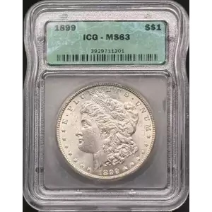 Morgan Silver Dollar