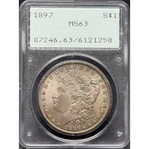 Morgan Silver Dollar