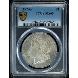 Morgan Silver Dollar