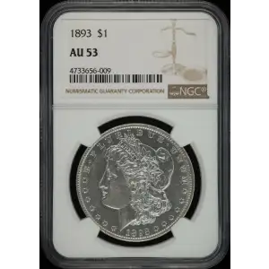 Morgan Silver Dollar