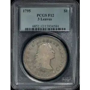 1795 $1 Flowing Hair, 3 Leaves (2)