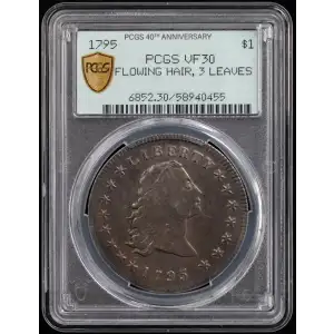 1795 $1 Flowing Hair, 3 Leaves (2)