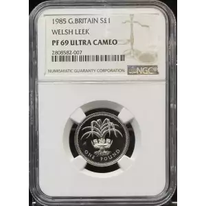 GREAT BRITAIN Silver POUND