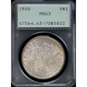 Morgan Silver Dollar (2)