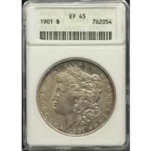 Morgan Silver Dollar