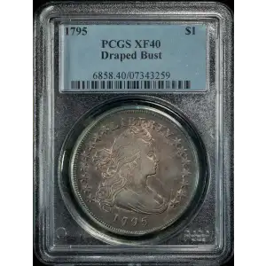 1795 $1 Draped Bust, Centered